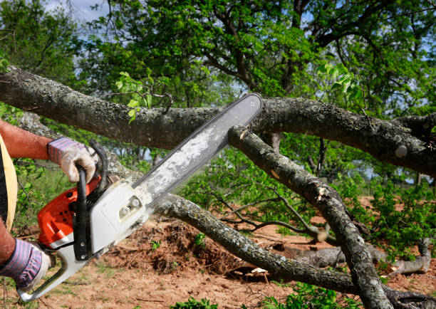 Lawn Irrigation Installation and Maintenance in Greenland, AR